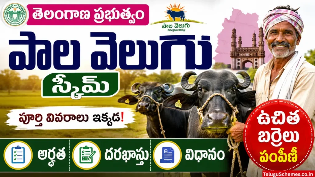 Telangana Pala Velugu Scheme (1)